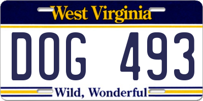 WV license plate DOG493