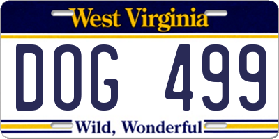 WV license plate DOG499