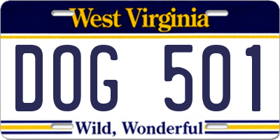 WV license plate DOG501