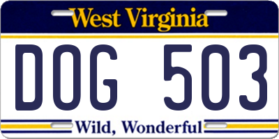 WV license plate DOG503