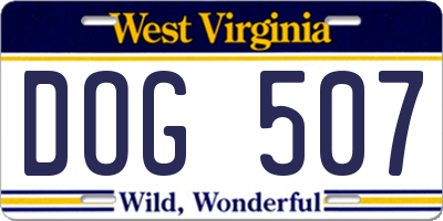 WV license plate DOG507