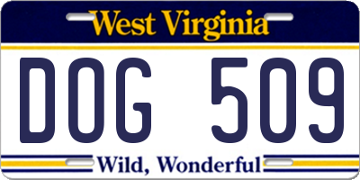 WV license plate DOG509