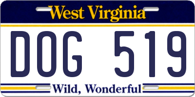 WV license plate DOG519
