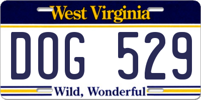WV license plate DOG529
