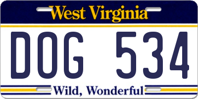 WV license plate DOG534