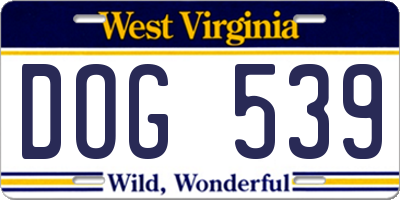 WV license plate DOG539