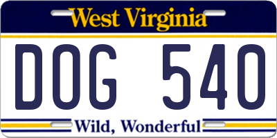 WV license plate DOG540