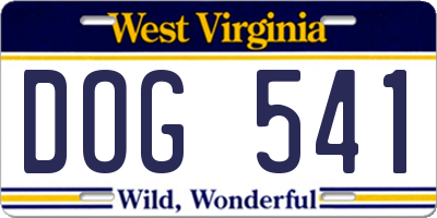 WV license plate DOG541