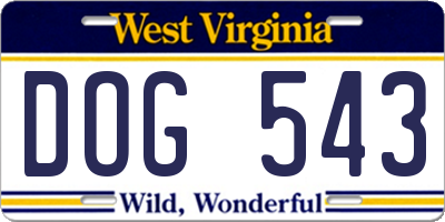 WV license plate DOG543
