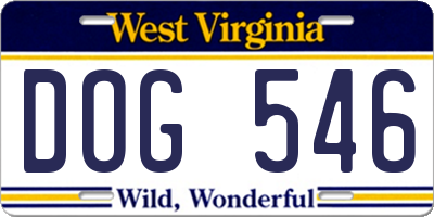 WV license plate DOG546