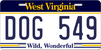 WV license plate DOG549