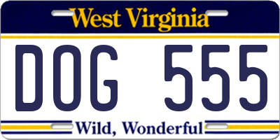 WV license plate DOG555