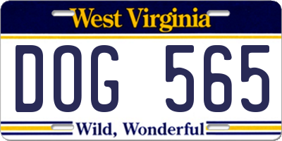 WV license plate DOG565