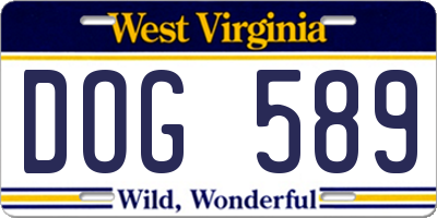 WV license plate DOG589