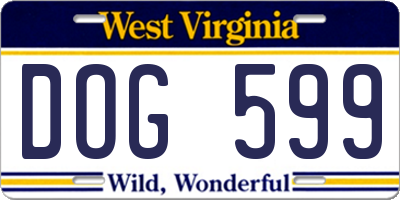 WV license plate DOG599