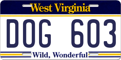 WV license plate DOG603