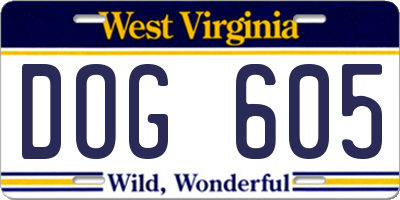 WV license plate DOG605