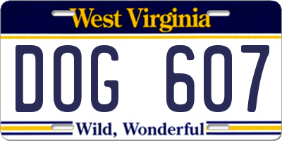 WV license plate DOG607