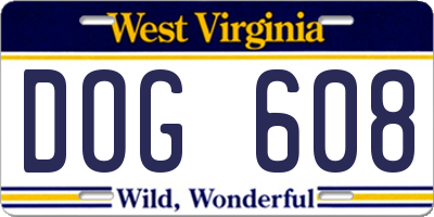 WV license plate DOG608
