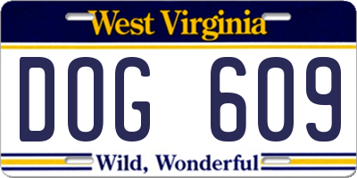 WV license plate DOG609