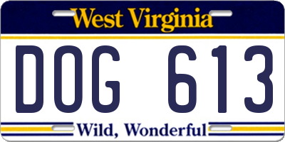 WV license plate DOG613