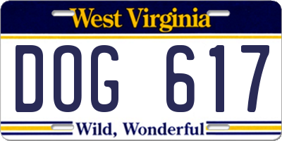 WV license plate DOG617