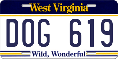 WV license plate DOG619