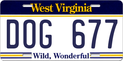 WV license plate DOG677