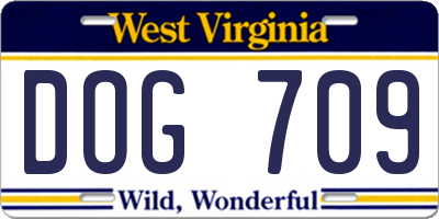 WV license plate DOG709