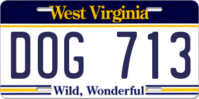 WV license plate DOG713