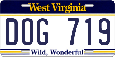 WV license plate DOG719