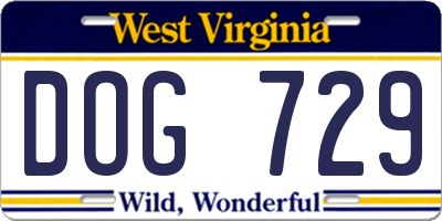 WV license plate DOG729