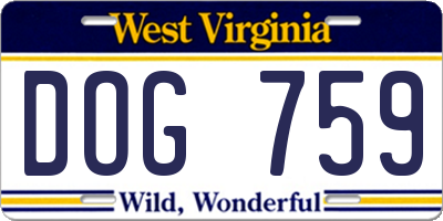 WV license plate DOG759