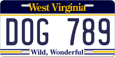 WV license plate DOG789
