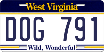 WV license plate DOG791