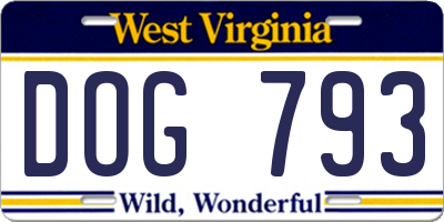 WV license plate DOG793