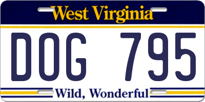 WV license plate DOG795