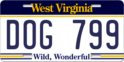 WV license plate DOG799