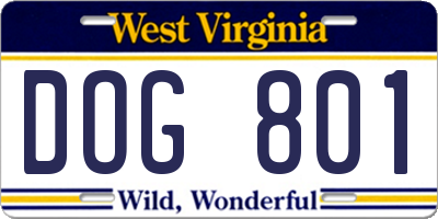 WV license plate DOG801