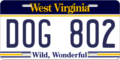 WV license plate DOG802