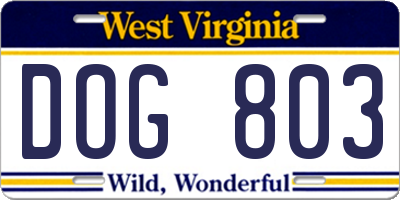 WV license plate DOG803