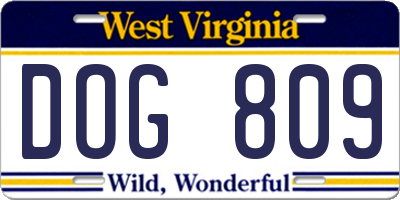 WV license plate DOG809