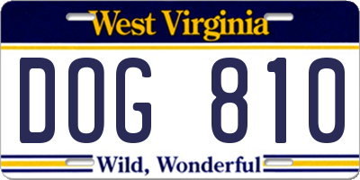 WV license plate DOG810