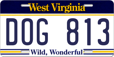 WV license plate DOG813