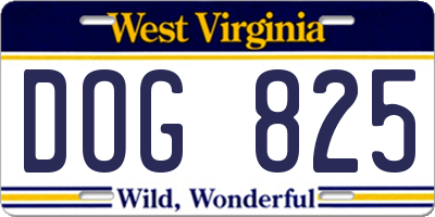 WV license plate DOG825