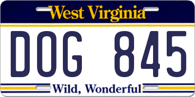 WV license plate DOG845
