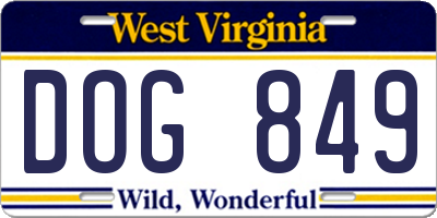 WV license plate DOG849