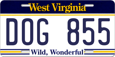 WV license plate DOG855