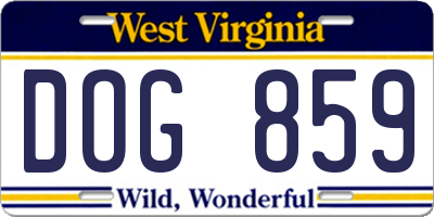 WV license plate DOG859