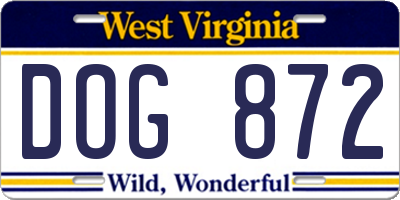 WV license plate DOG872